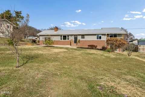 Photo of 312 Sunnybrook Drive, Bristol, TN 37620 (MLS # 9988605)