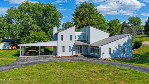 Photo of 249 Holston View Drive, Rogersville, TN 37857 (MLS # 9995518)