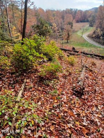 Tbd Fire Station Road, Elizabethton, Tennessee image 2