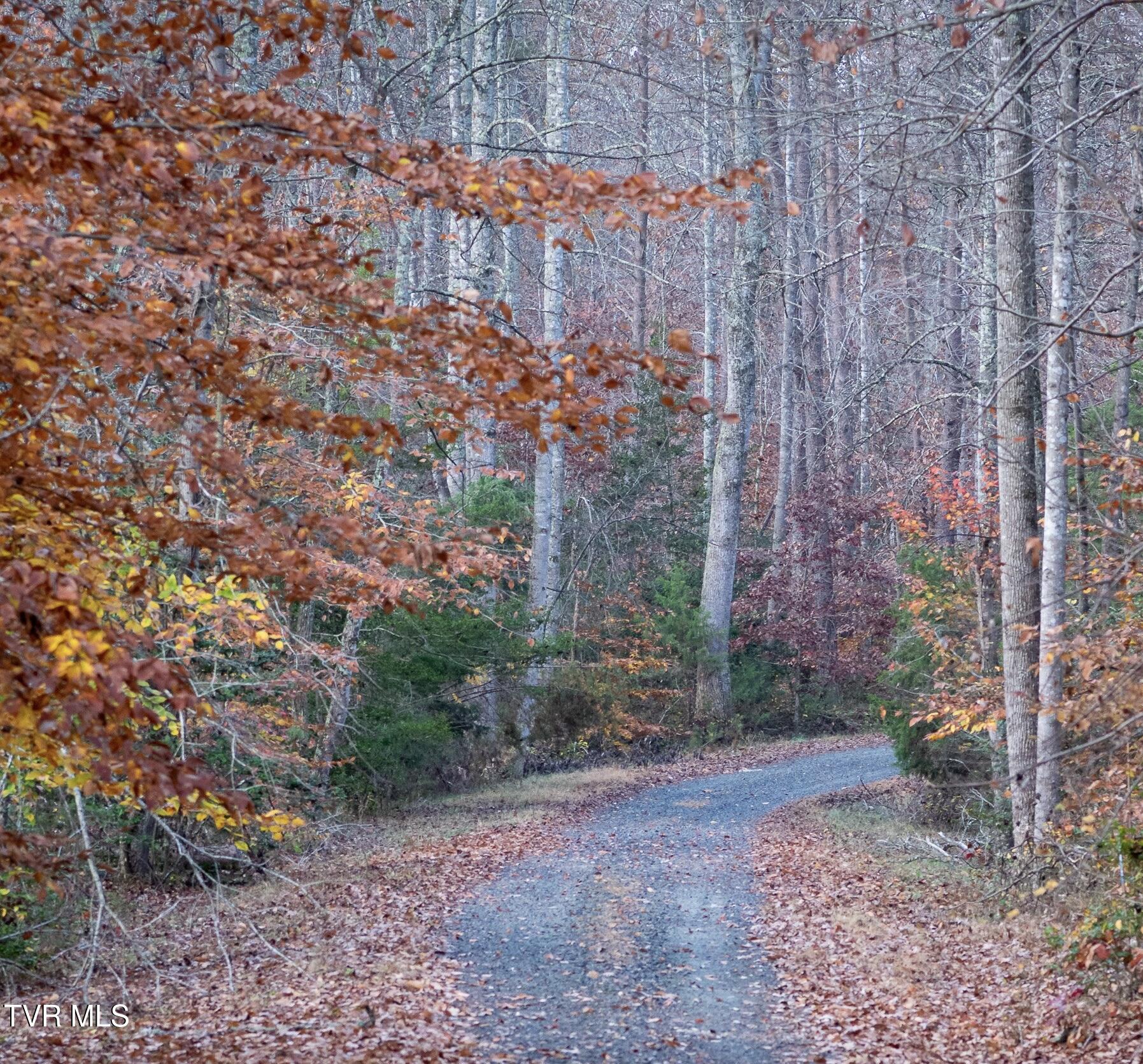 Tbd Fire Station Road, Elizabethton, Tennessee image 1