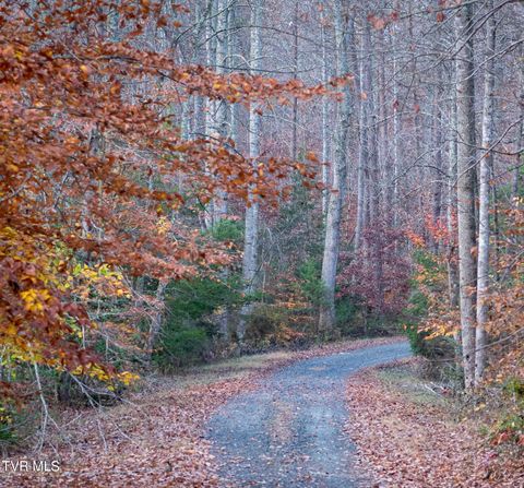 Vacant Land For Sale - TBD Fire Station Road<br/> Elizabethton, TN 37643