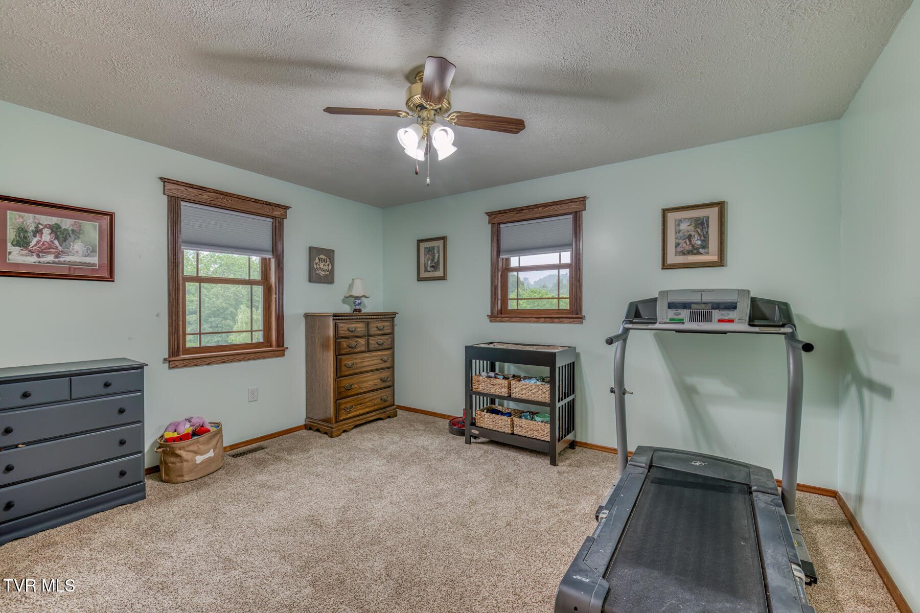 1288 Big Hollow Road, Blountville, Tennessee image 29
