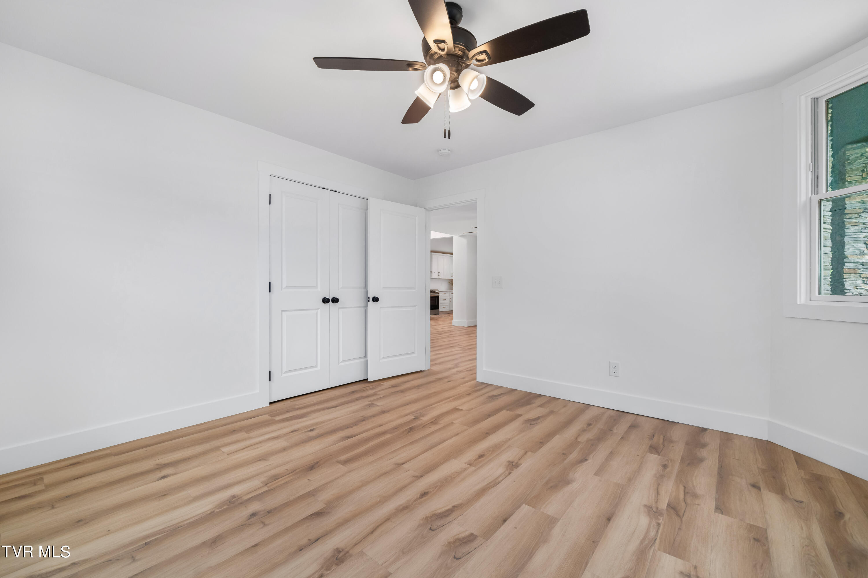 112 Chestnut Street, Johnson City, Tennessee image 30