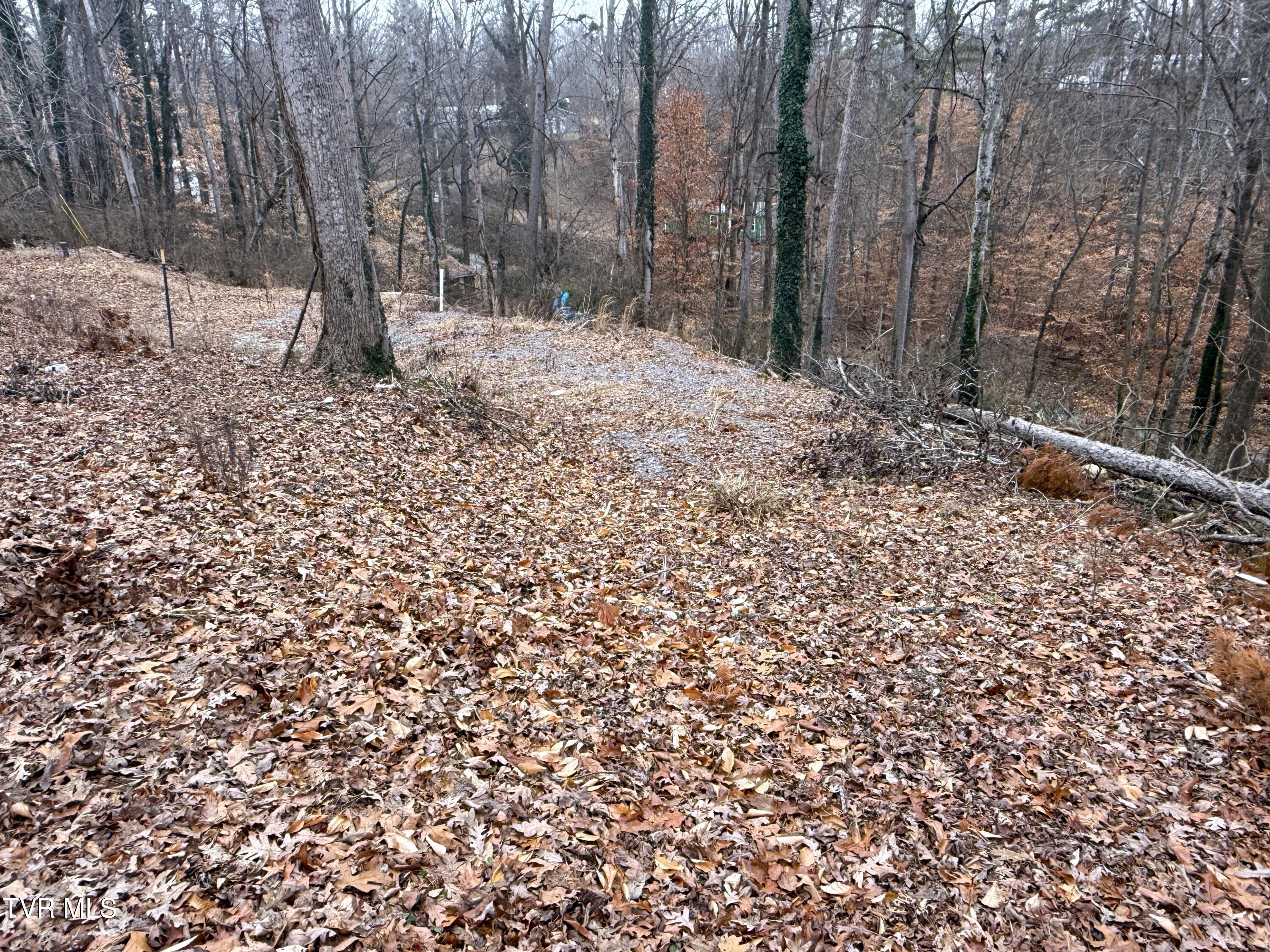 1538 Mayflower Lane, Dandridge, Tennessee image 3