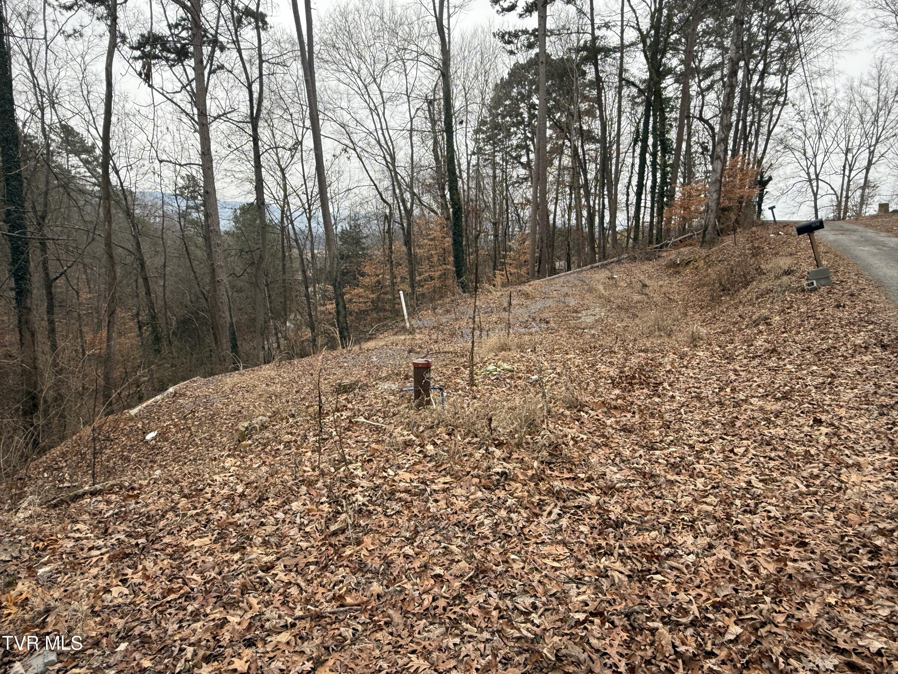 1538 Mayflower Lane, Dandridge, Tennessee image 4