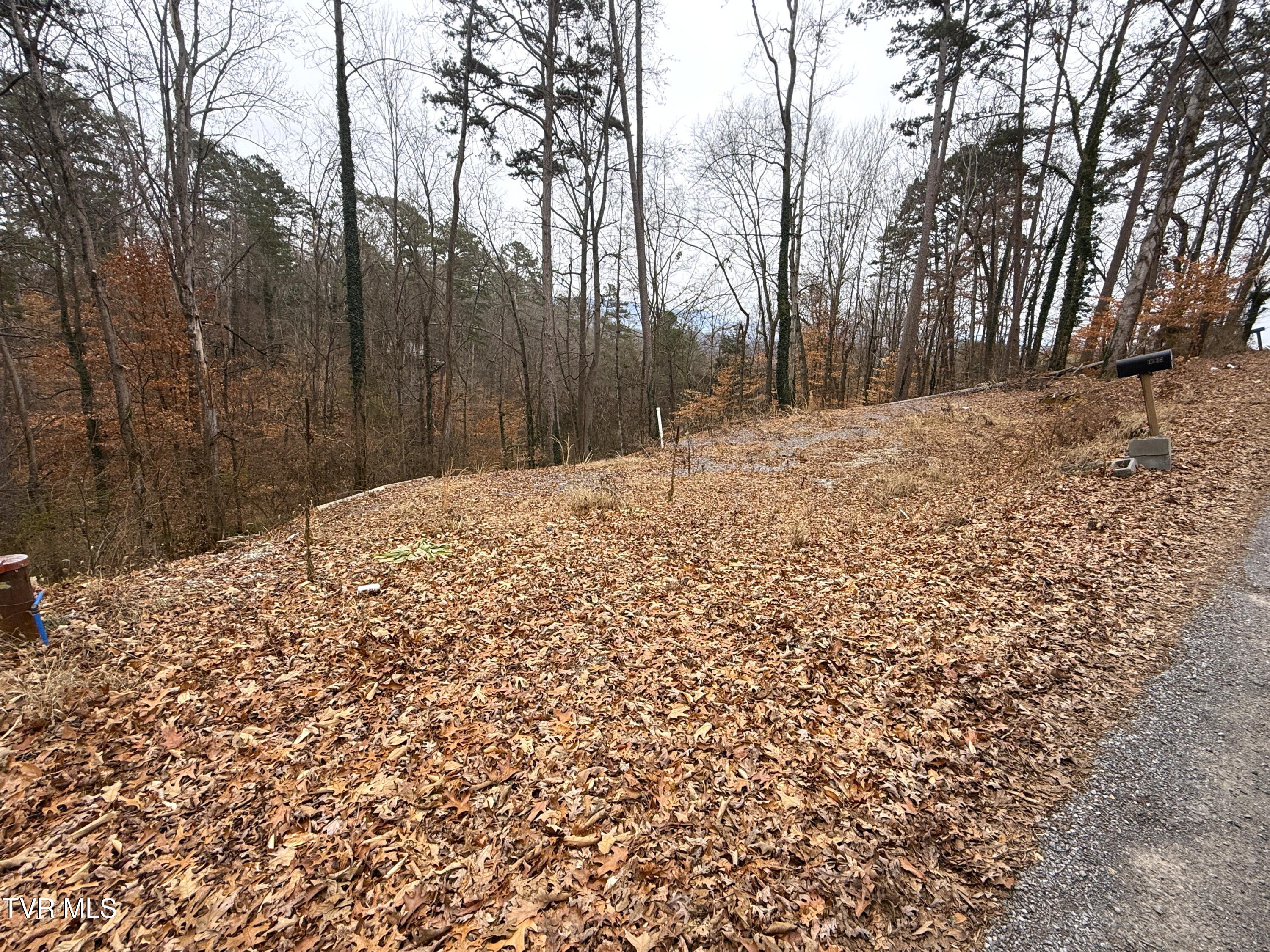 1538 Mayflower Lane, Dandridge, Tennessee image 1