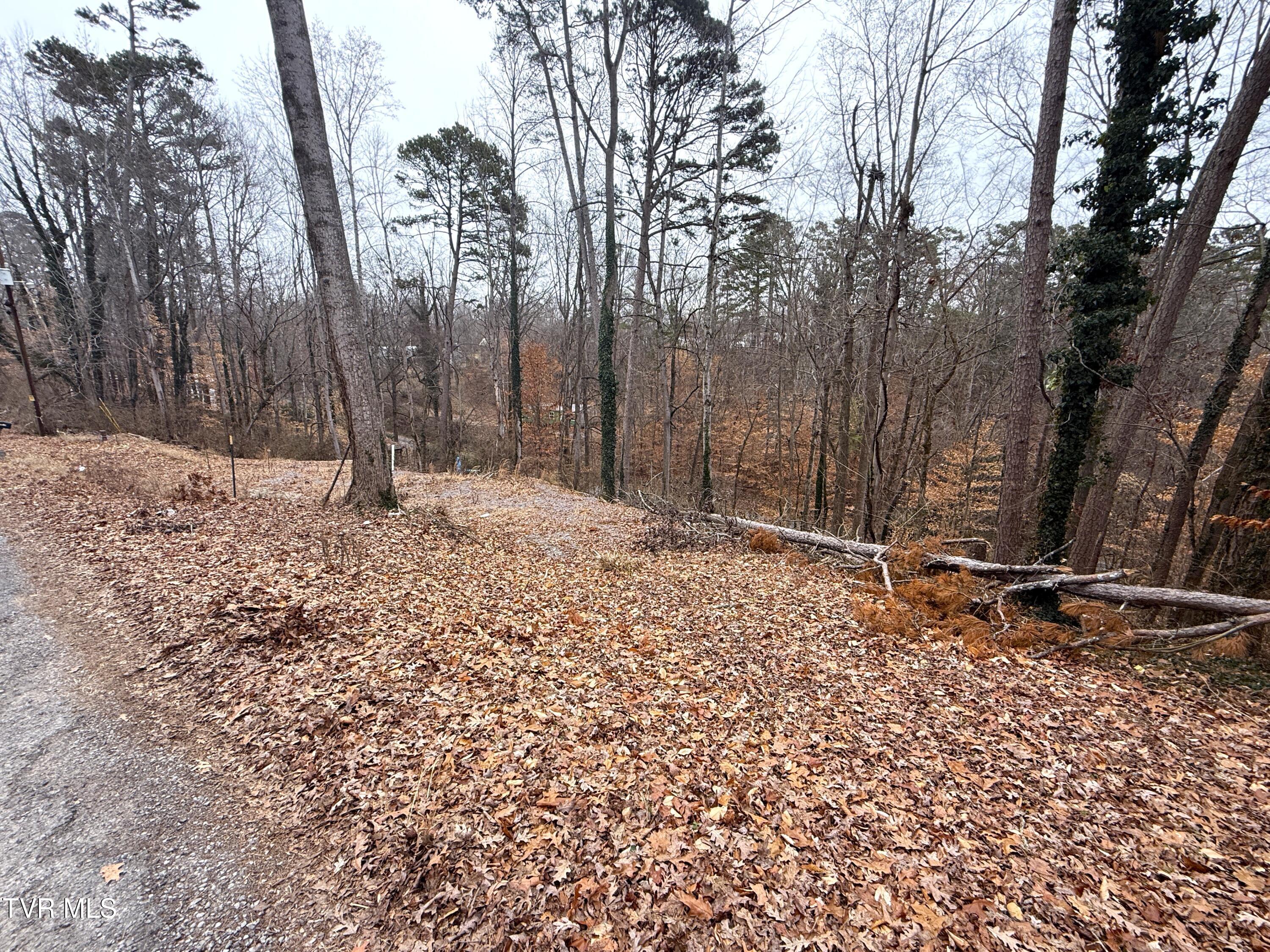 1538 Mayflower Lane, Dandridge, Tennessee image 2
