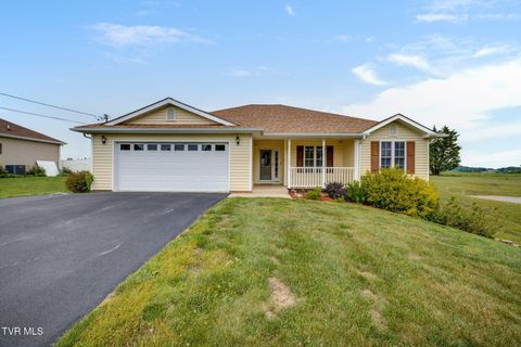 115 Spider Barnes Road Jonesborough TN 37659