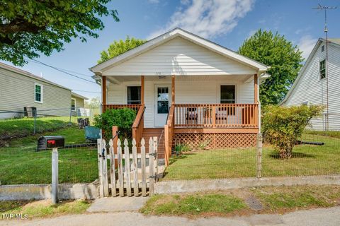Homes For Sale - 119 Esther Street<br/> Sullivan County County, Bristol, TN 37620