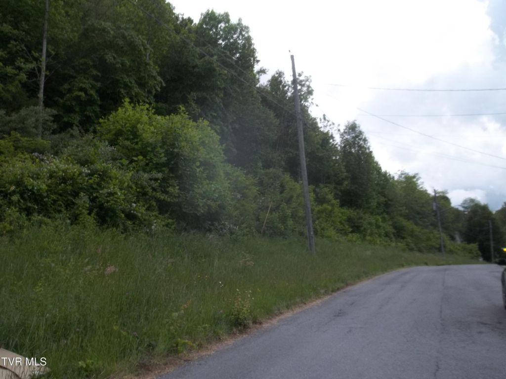 Photo of 433 Creekside Drive, Mount Carmel, TN 37645 (MLS # 9995187)