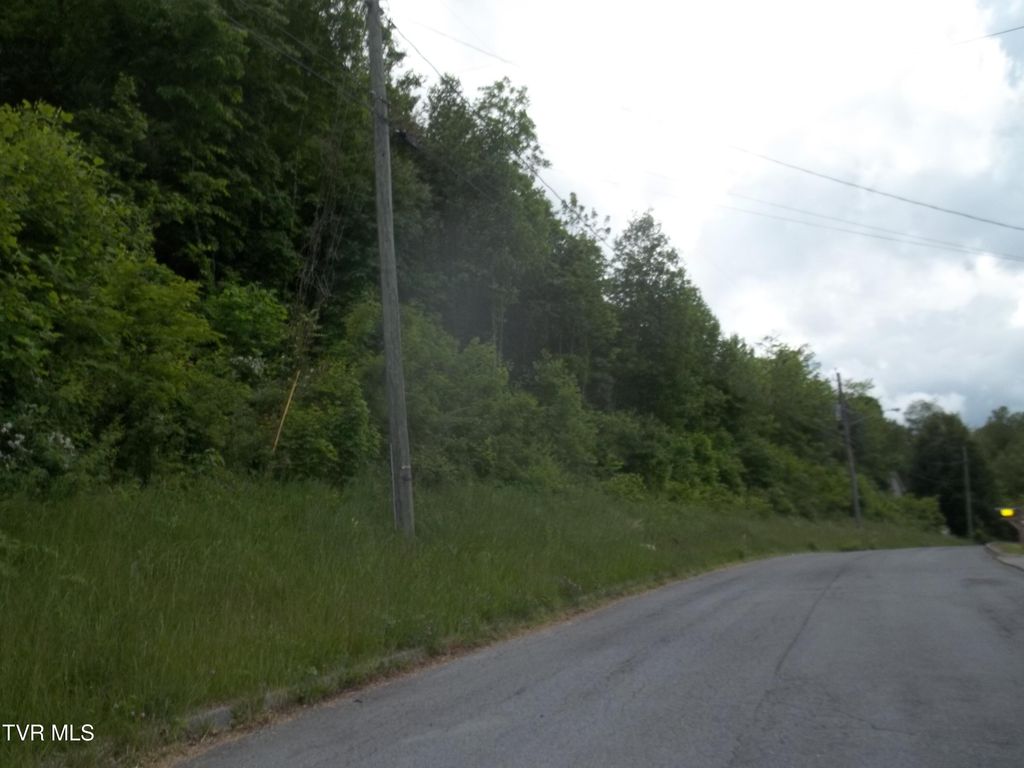 Photo of 433 Creekside Drive, Mount Carmel, TN 37645 (MLS # 9995187)