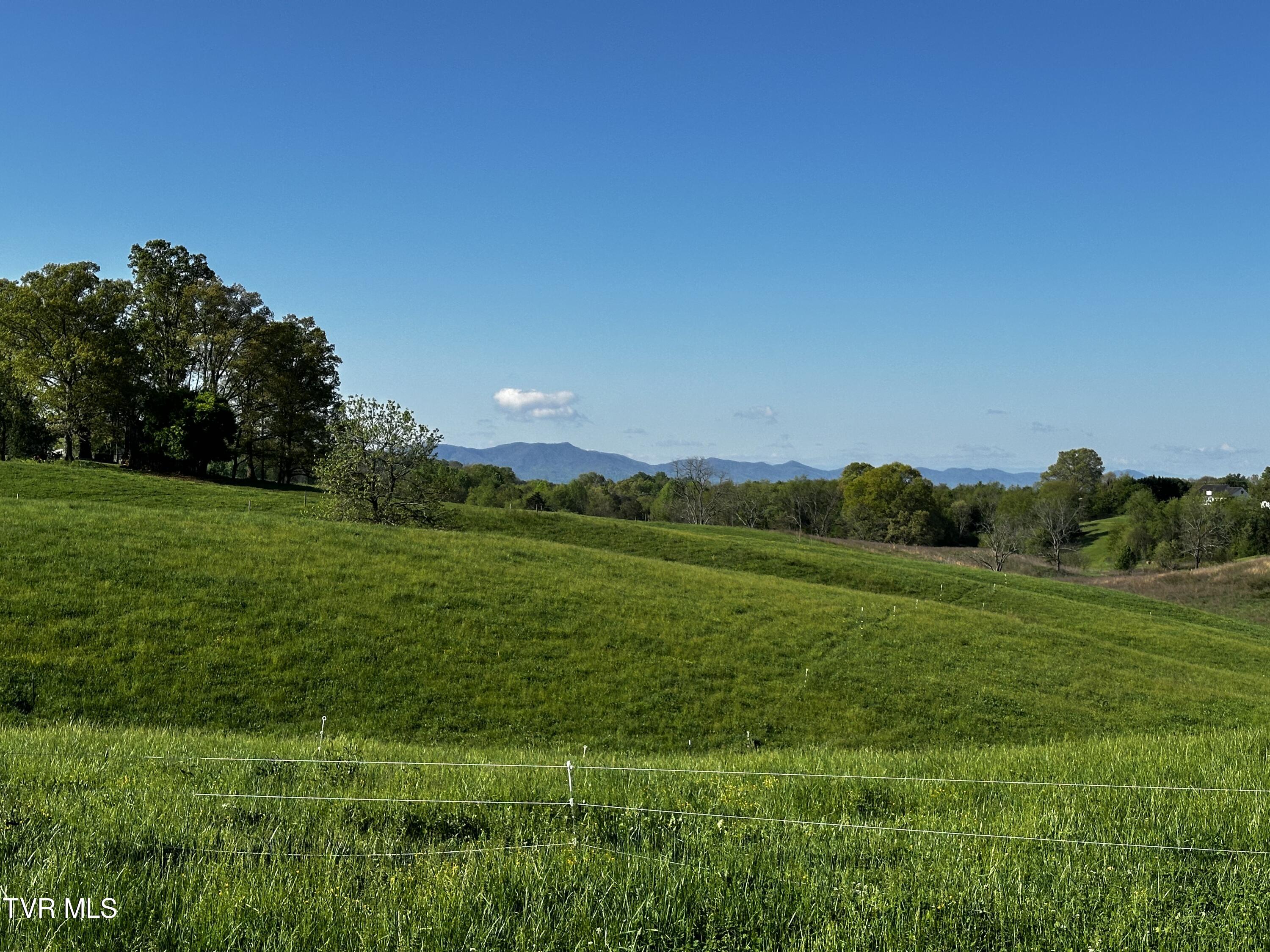 Tbd Briarbend Lane, Greeneville, Tennessee image 7