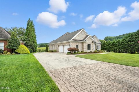 Tiny photo for 125 Golf Ridge Drive, Kingsport, TN 37664 (MLS # 9983918)