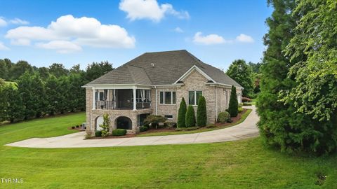 Tiny photo for 125 Golf Ridge Drive, Kingsport, TN 37664 (MLS # 9983918)