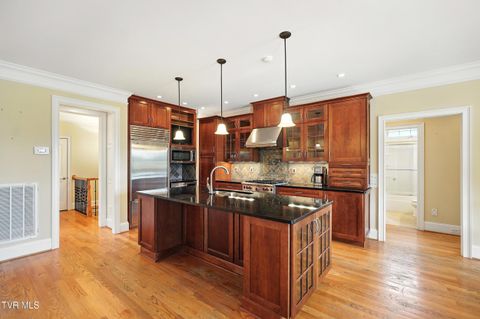 Tiny photo for 125 Golf Ridge Drive, Kingsport, TN 37664 (MLS # 9983918)