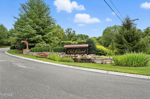 Tiny photo for 125 Golf Ridge Drive, Kingsport, TN 37664 (MLS # 9983918)