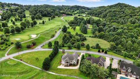 Tiny photo for 125 Golf Ridge Drive, Kingsport, TN 37664 (MLS # 9983918)