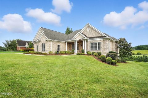 Tiny photo for 125 Golf Ridge Drive, Kingsport, TN 37664 (MLS # 9983918)