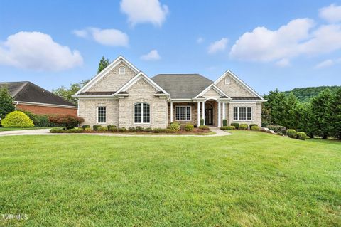 Tiny photo for 125 Golf Ridge Drive, Kingsport, TN 37664 (MLS # 9983918)