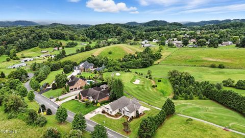 Tiny photo for 125 Golf Ridge Drive, Kingsport, TN 37664 (MLS # 9983918)