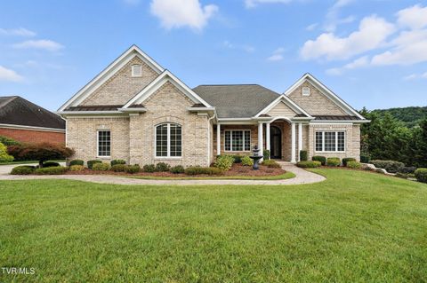 Tiny photo for 125 Golf Ridge Drive, Kingsport, TN 37664 (MLS # 9983918)
