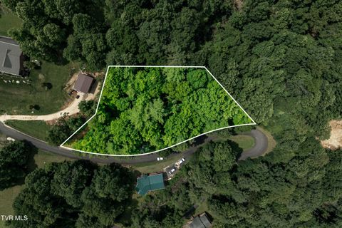 Vacant Land For Sale - LOT 13 Lake Ridge Road<br/> Johnson County, Butler, TN 37640