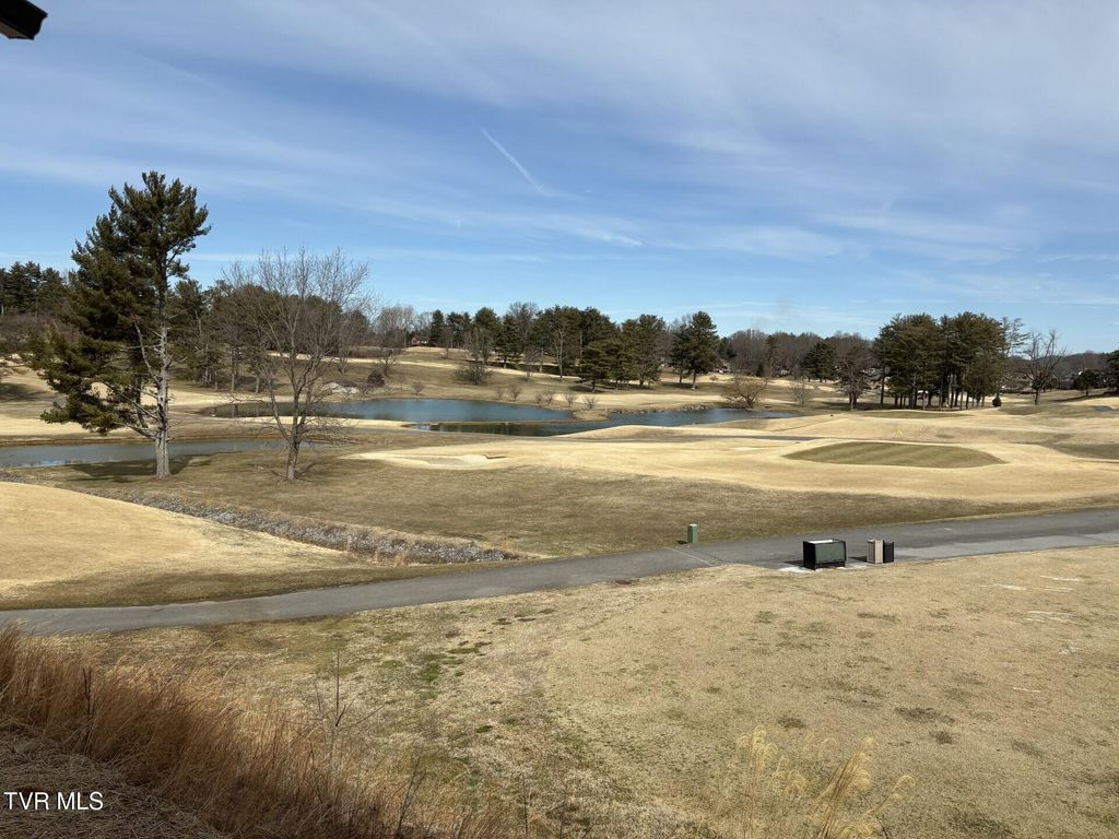 Photo of 380 Monroe Drive, Bristol, TN 37620 (MLS # 9991154)