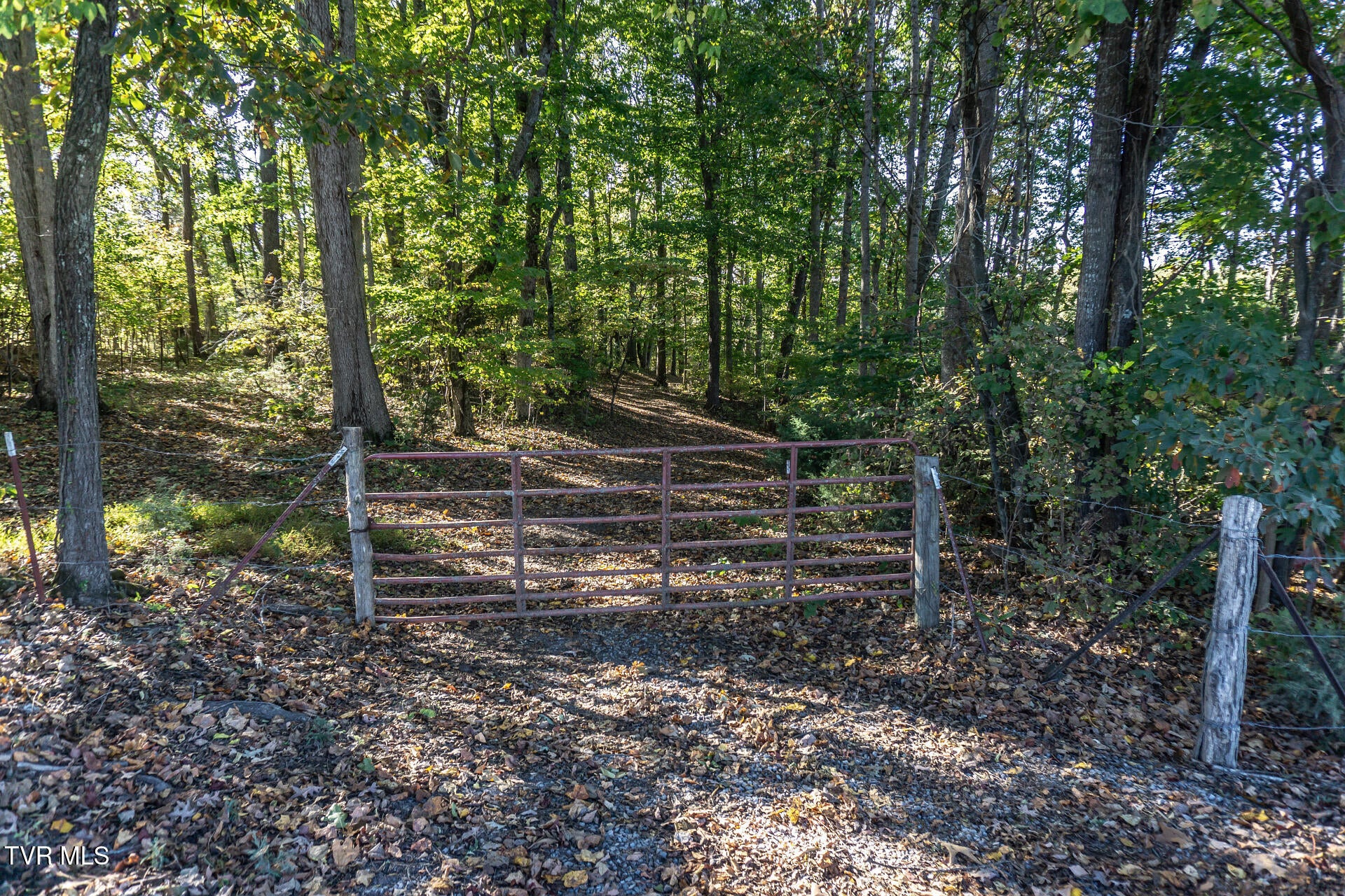 11.81 Ac Kenyon Road