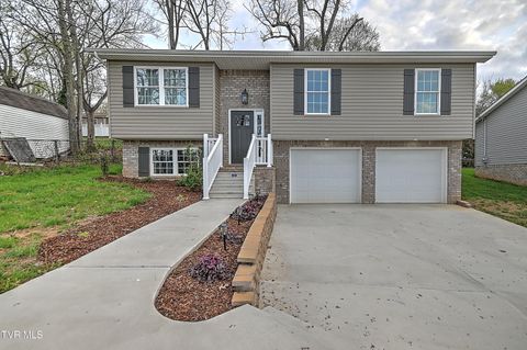 Photo of 1950 Stone Drive, Kingsport, TN 37660 (MLS # 9993311)