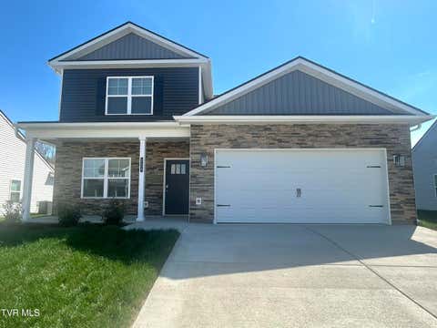 Homes For Sale - 225 Chimney View Loop<br/> Sullivan County County, Blountville, TN 37617