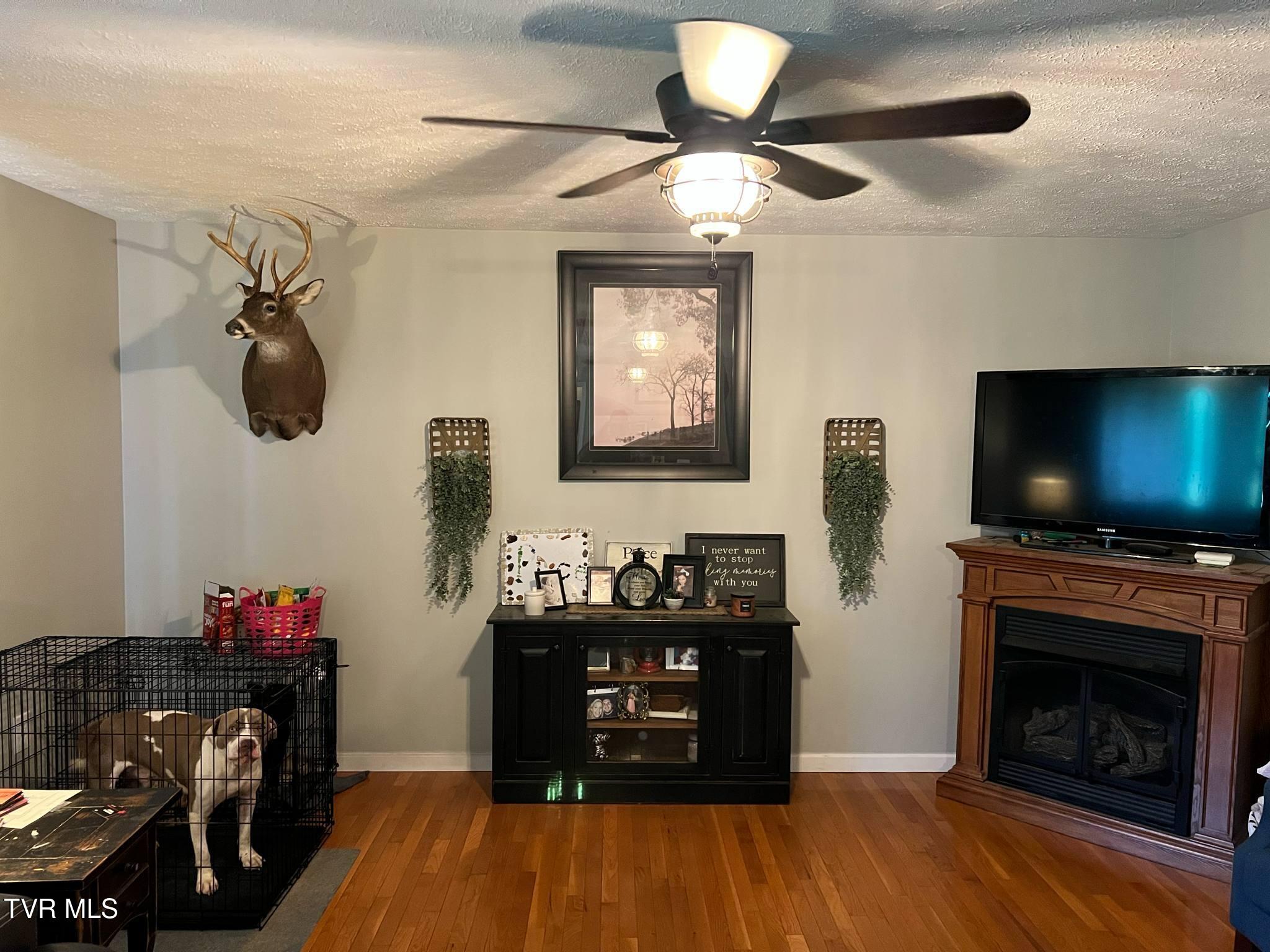 853 Dryden Heights Drive, Dryden, Virginia image 28