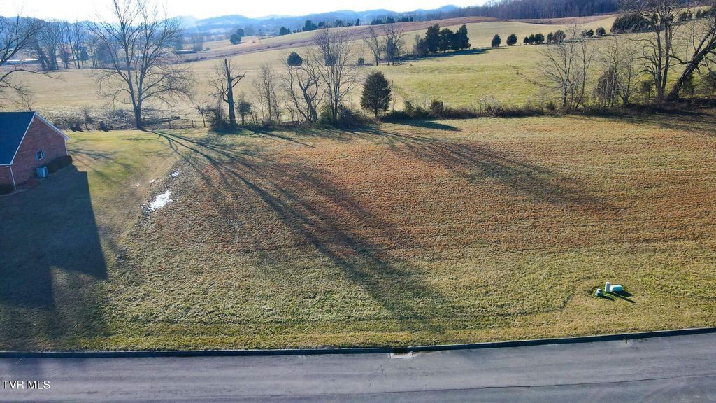 Photo of 35 Walnut Grove Drive, Church Hill, TN 37642 (MLS # 9986938)