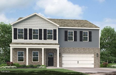 Homes For Sale - 62 Ollie Street St<br/> Washington County, Johnson City, TN 37615