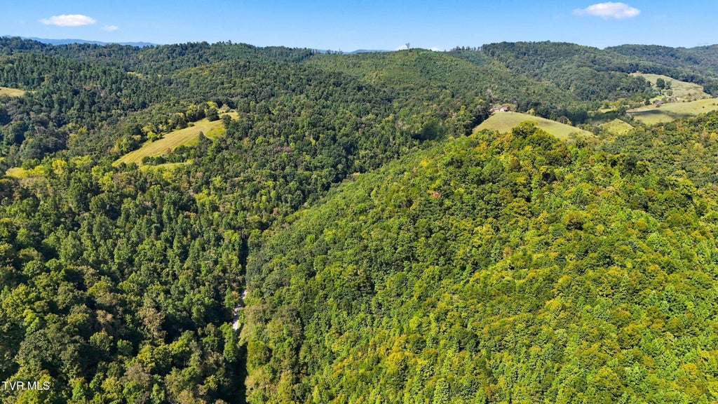 Photo of 2918 Copper Creek Road, Duffield, VA 24244 (MLS # 10001787)