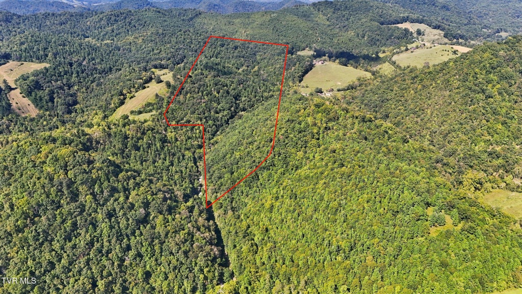 Photo of 2918 Copper Creek Road, Duffield, VA 24244 (MLS # 10001787)