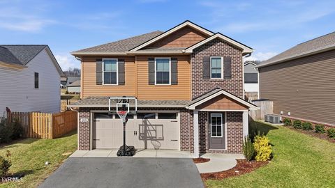 Photo of 205 Addie Marie Drive, Jonesborough, TN 37659 (MLS # 9990475)