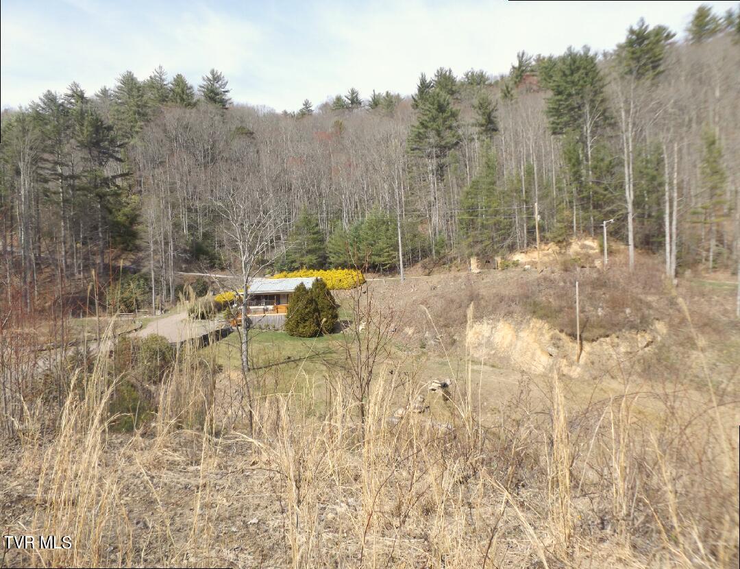 303 Honeymoon  Lot 59 Hollow, Butler, Tennessee image 1