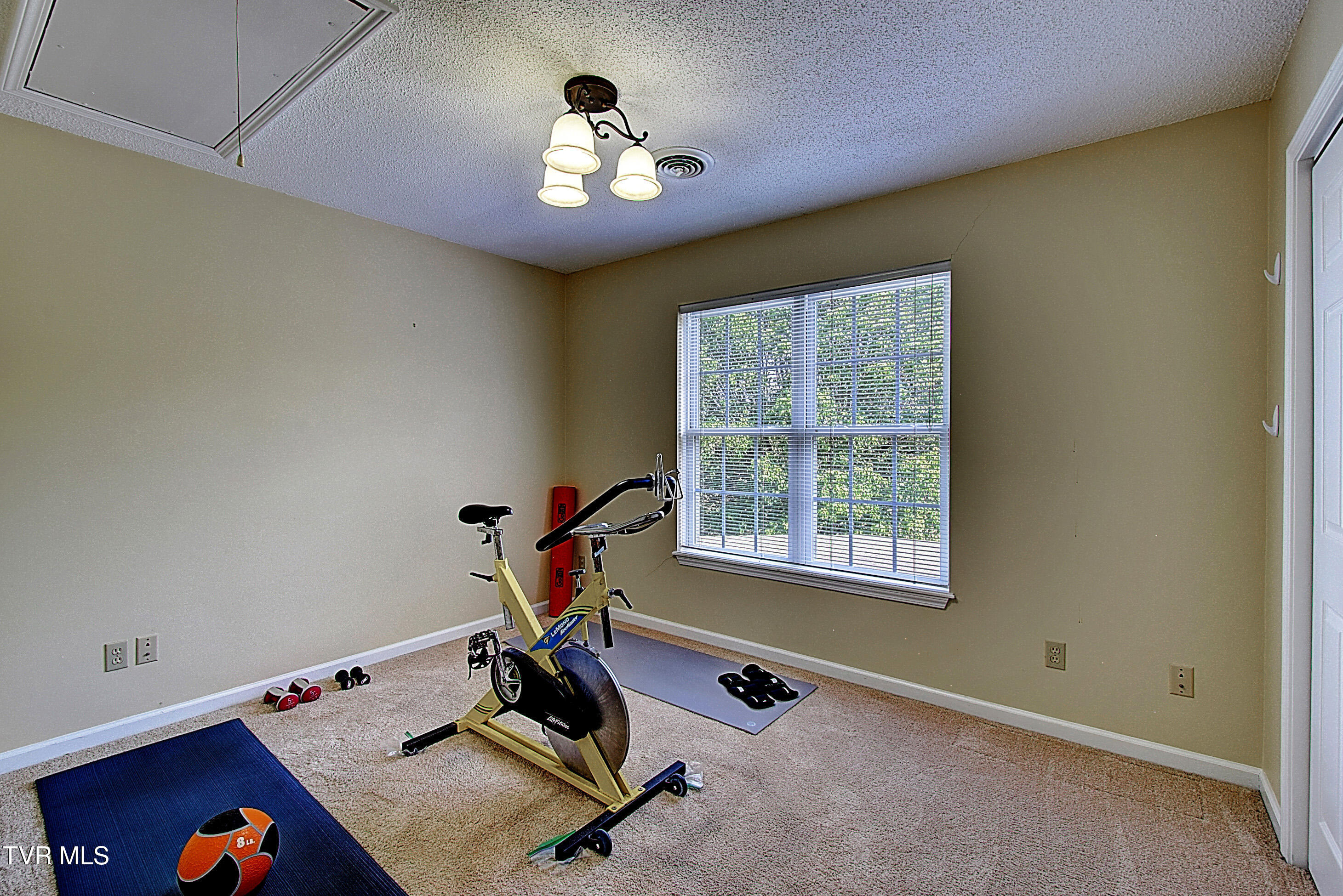 256 Hales Road, Jonesborough, Tennessee image 42