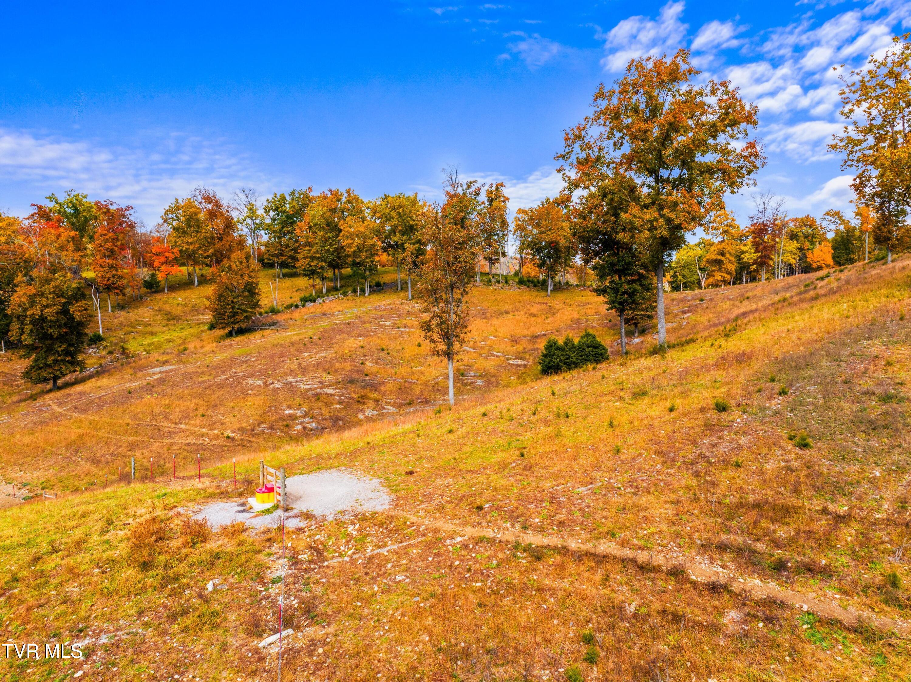 5671 Mountain Valley Rd Hwy 131 Road, Thorn Hill, Tennessee image 11