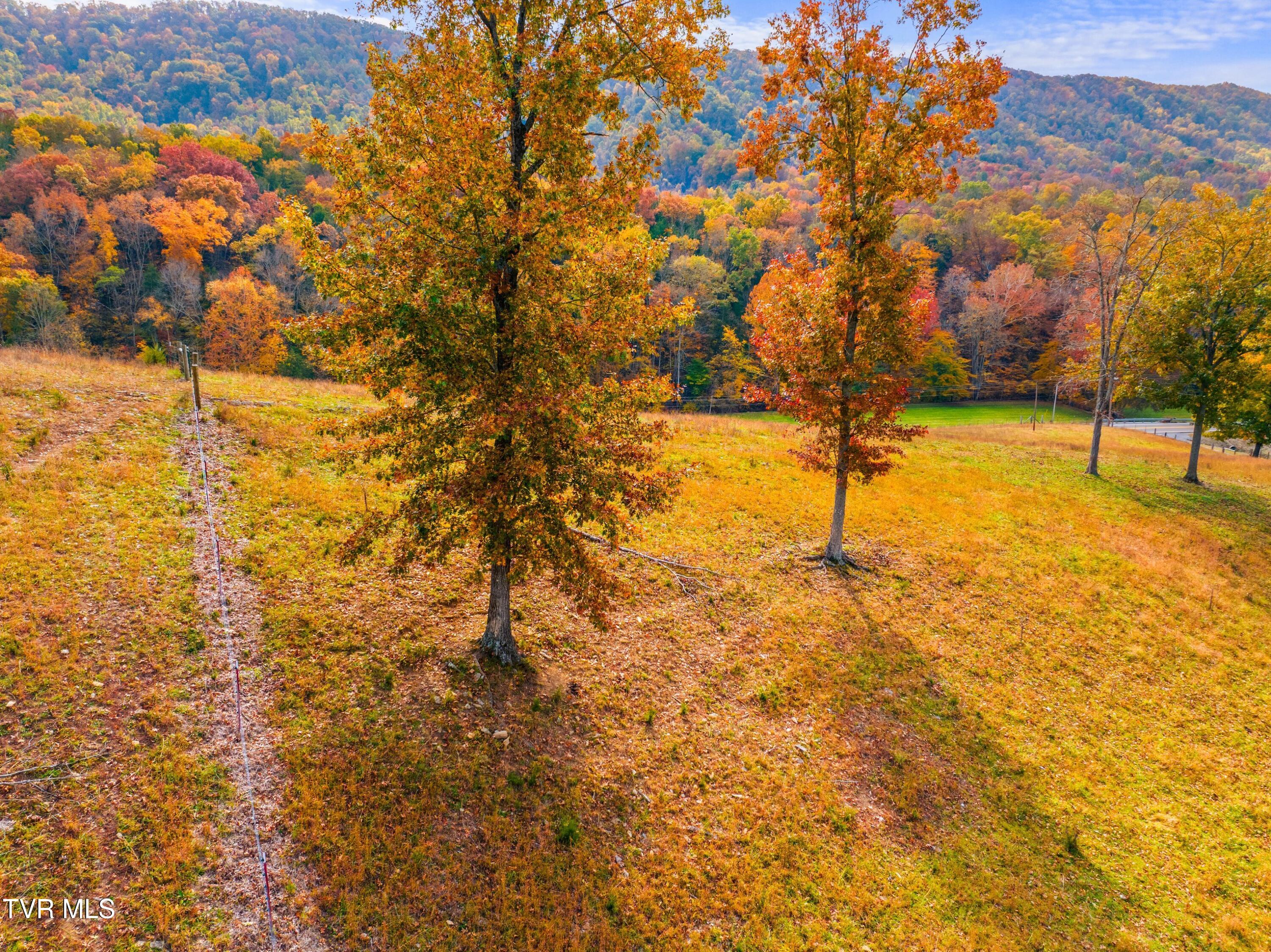 5671 Mountain Valley Rd Hwy 131 Road, Thorn Hill, Tennessee image 13