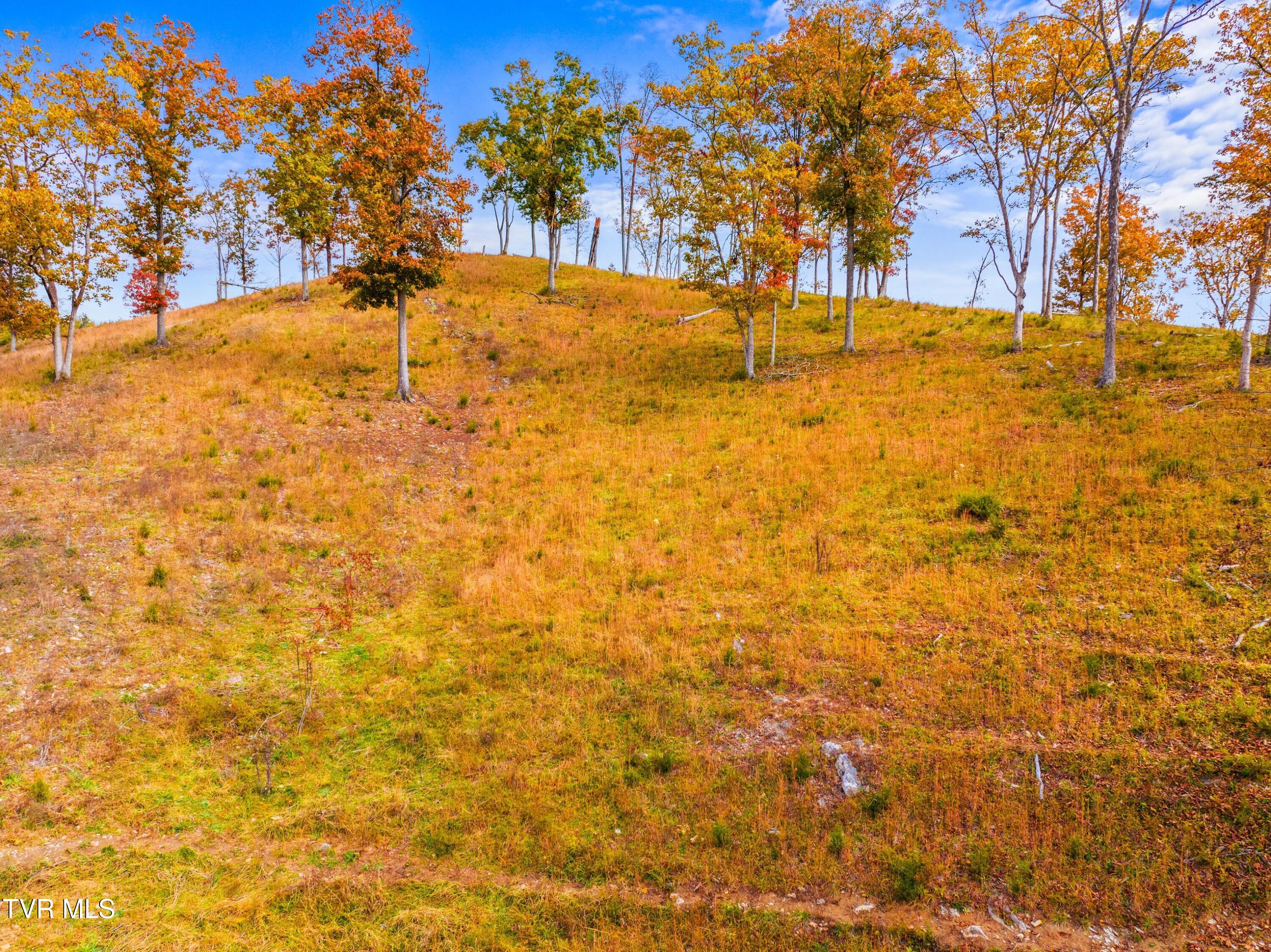 5671 Mountain Valley Rd Hwy 131 Road, Thorn Hill, Tennessee image 12