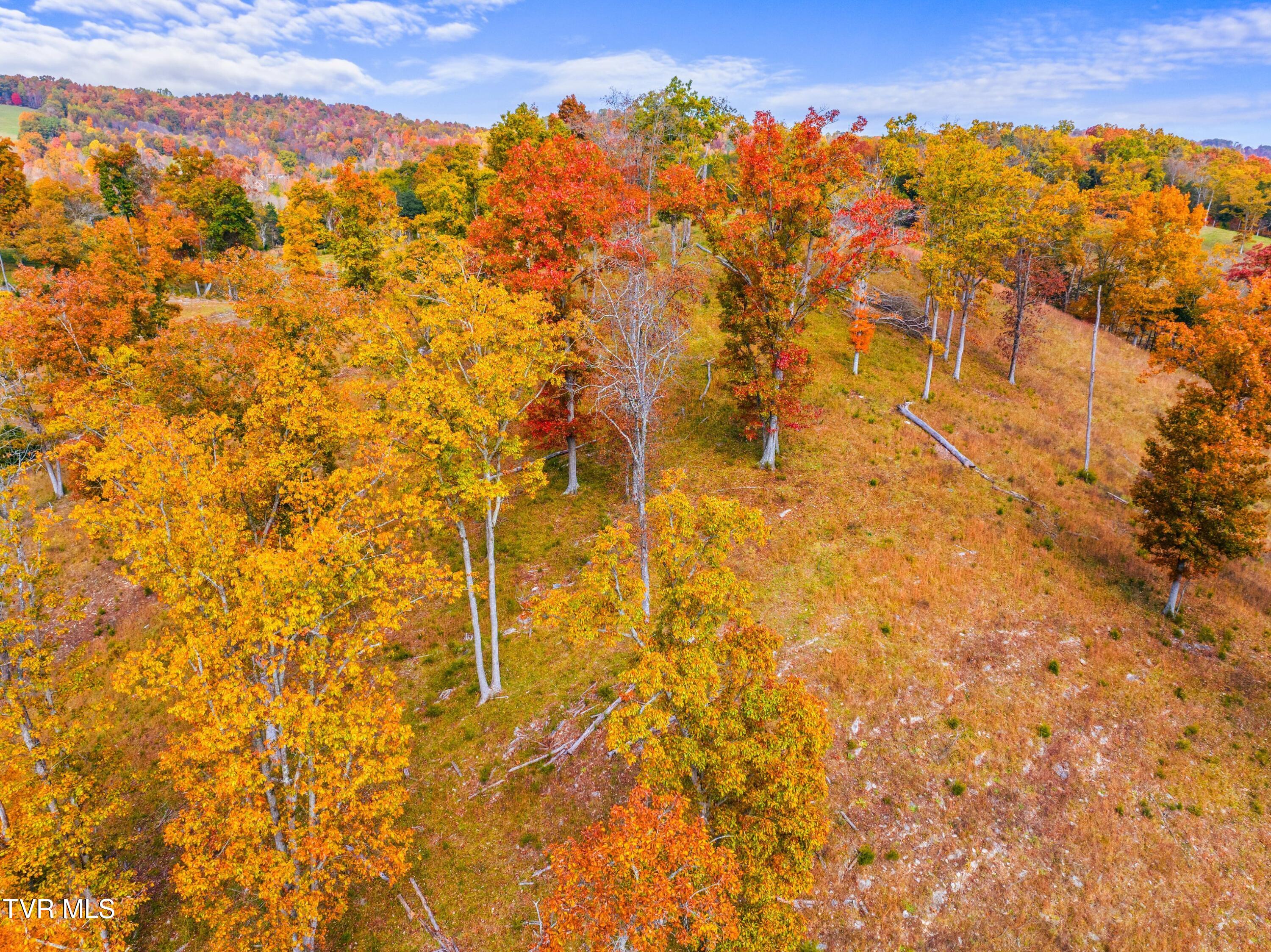 5671 Mountain Valley Rd Hwy 131 Road, Thorn Hill, Tennessee image 10