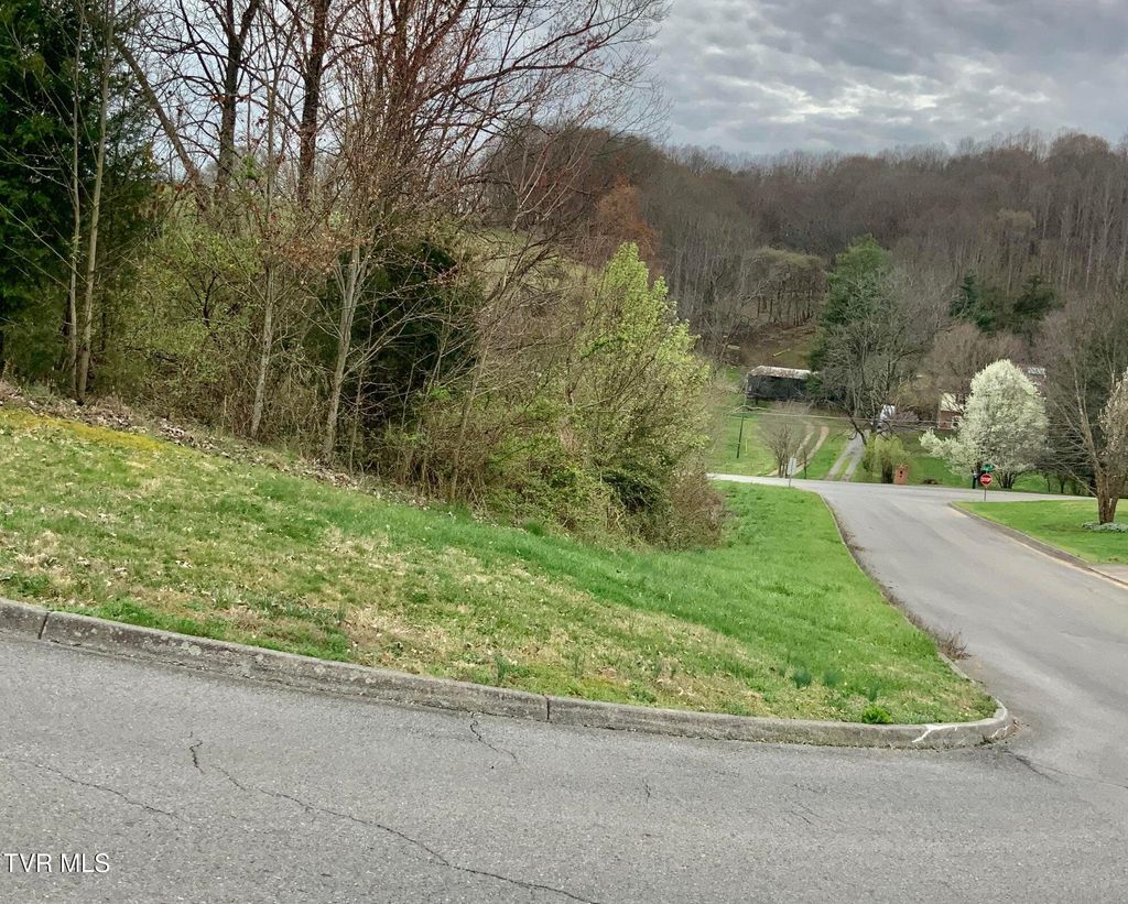 Photo of 13 Highland Meadows Drive, Blountville, TN 37617 (MLS # 9989715)