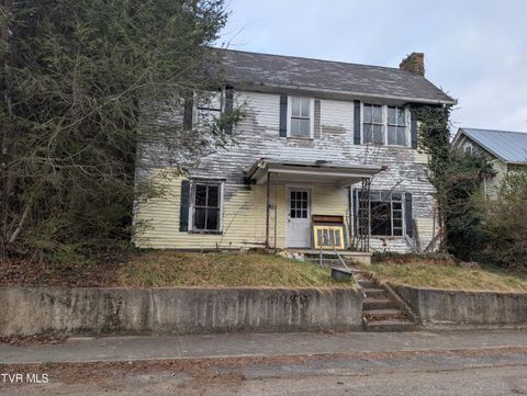 Homes For Sale - 138 Park Street<br/> Scott County, Gate City, VA 24251