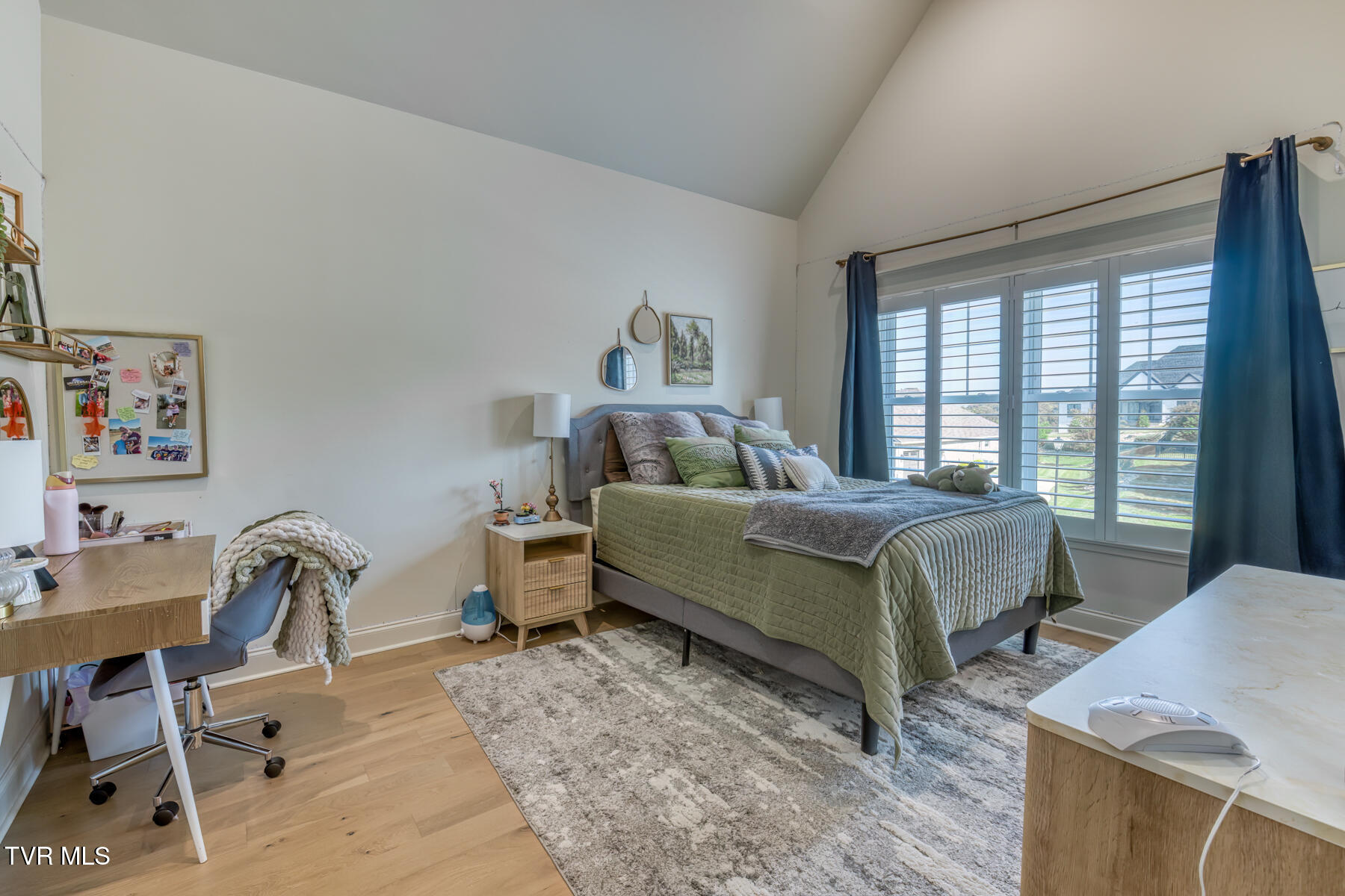 Johnson City, Tennessee 37601, United States, 5 Bedrooms Bedrooms, ,5 BathroomsBathrooms,Residential,Active,228949