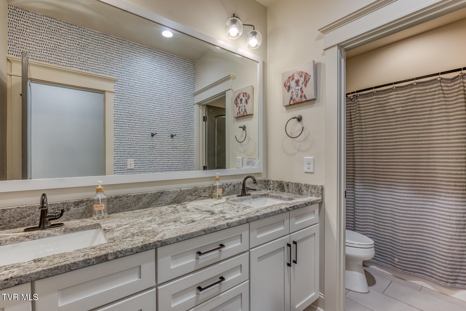 Johnson City, Tennessee 37601, United States, 5 Bedrooms Bedrooms, ,5 BathroomsBathrooms,Residential,Active,228949