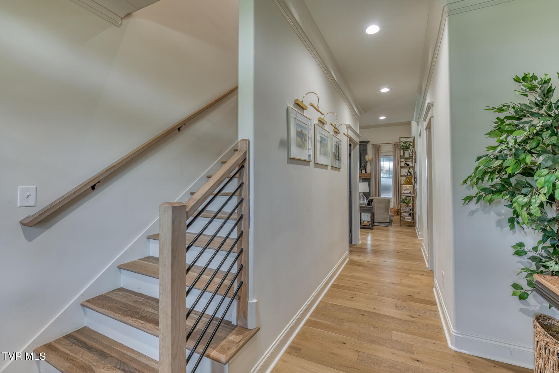 Johnson City, Tennessee 37601, United States, 5 Bedrooms Bedrooms, ,5 BathroomsBathrooms,Residential,Active,228949