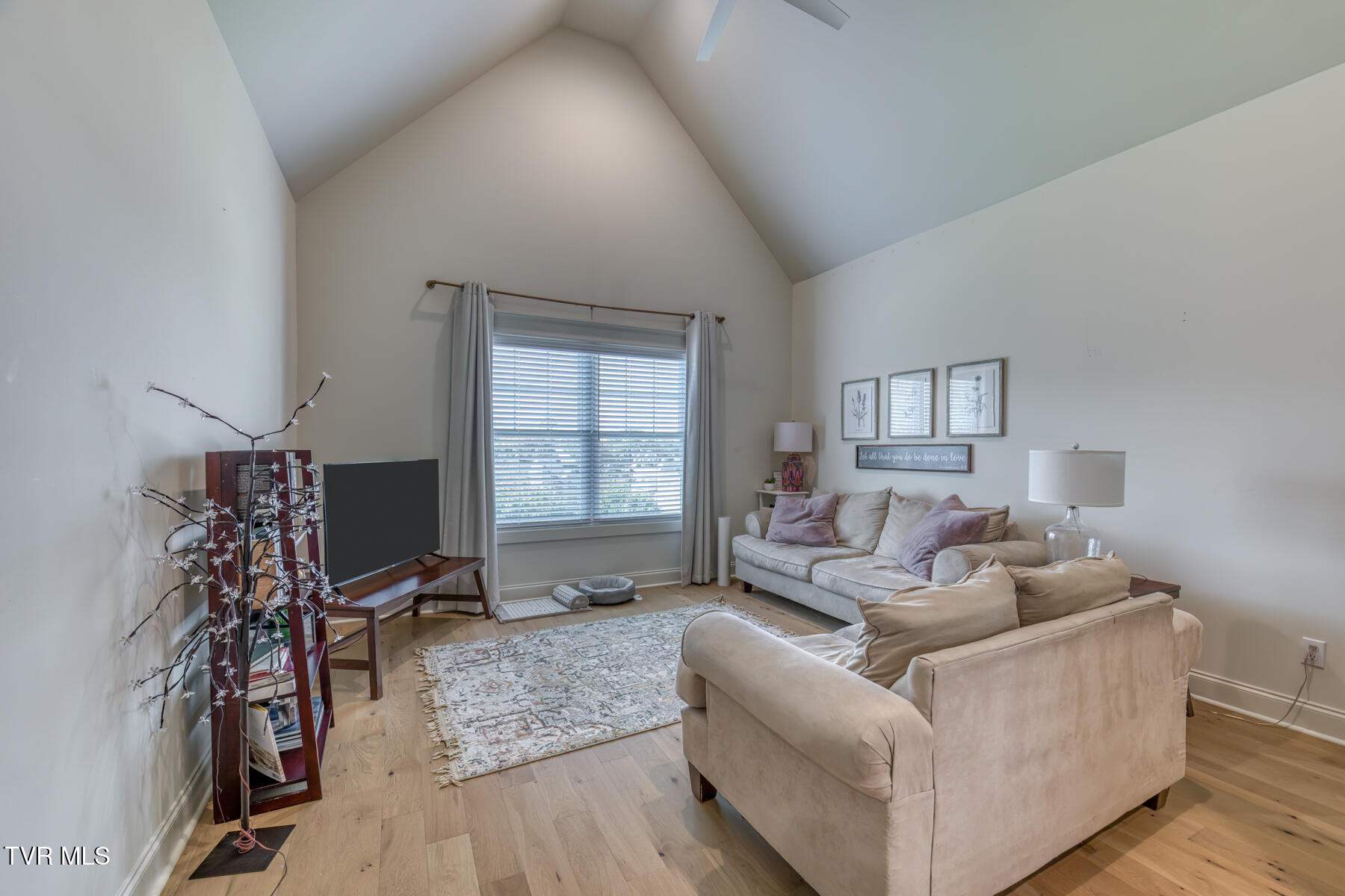 Johnson City, Tennessee 37601, United States, 5 Bedrooms Bedrooms, ,5 BathroomsBathrooms,Residential,Active,228949