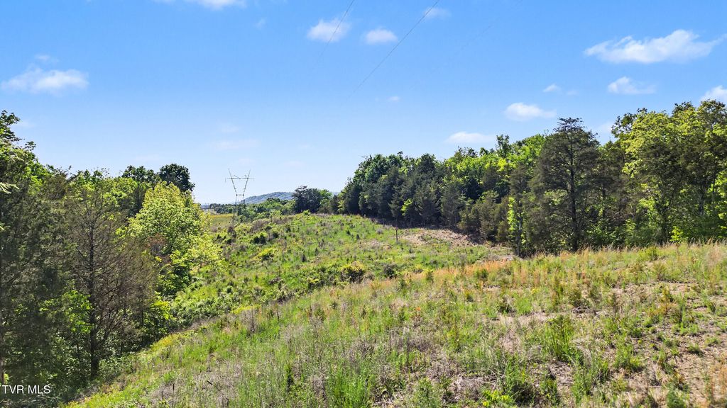 Photo of 75 Oak Hills Road, Mosheim, TN 37818 (MLS # 9995151)