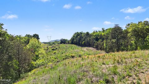 Photo of 75 Oak Hills Road, Mosheim, TN 37818 (MLS # 9995151)